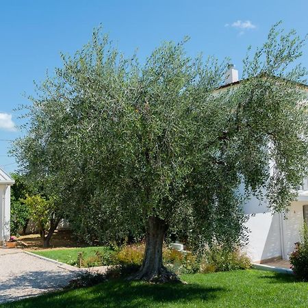 B&B Casale Savini Ортона Екстериор снимка